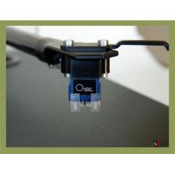 Sumiko Oyster