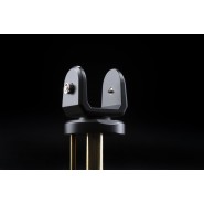 Dual CS 418